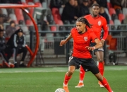 开云体育登录入口-关于甘冈客场战平：法甲中游球队实力相当的信息