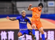 开云体育网页版登录入口-希腊队实力浮出水面，成功晋级的简单介绍