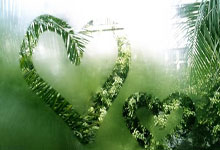 开云体育网址-包含泰达客场击败鲁能，迎来近期首胜的词条