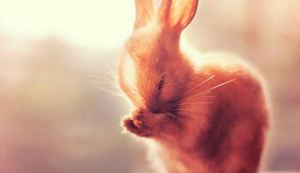 巴塞罗那球员伤愈复出，队伍实力增强备战接下来一轮比赛